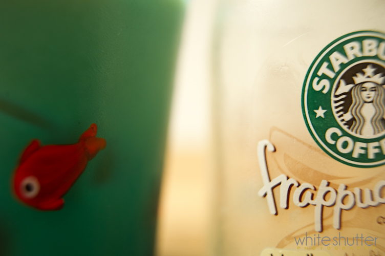 things we love… late night starbucks